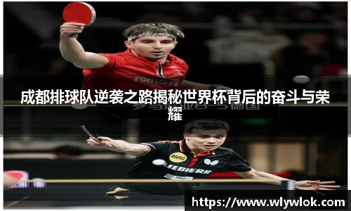 成都排球队逆袭之路揭秘世界杯背后的奋斗与荣耀